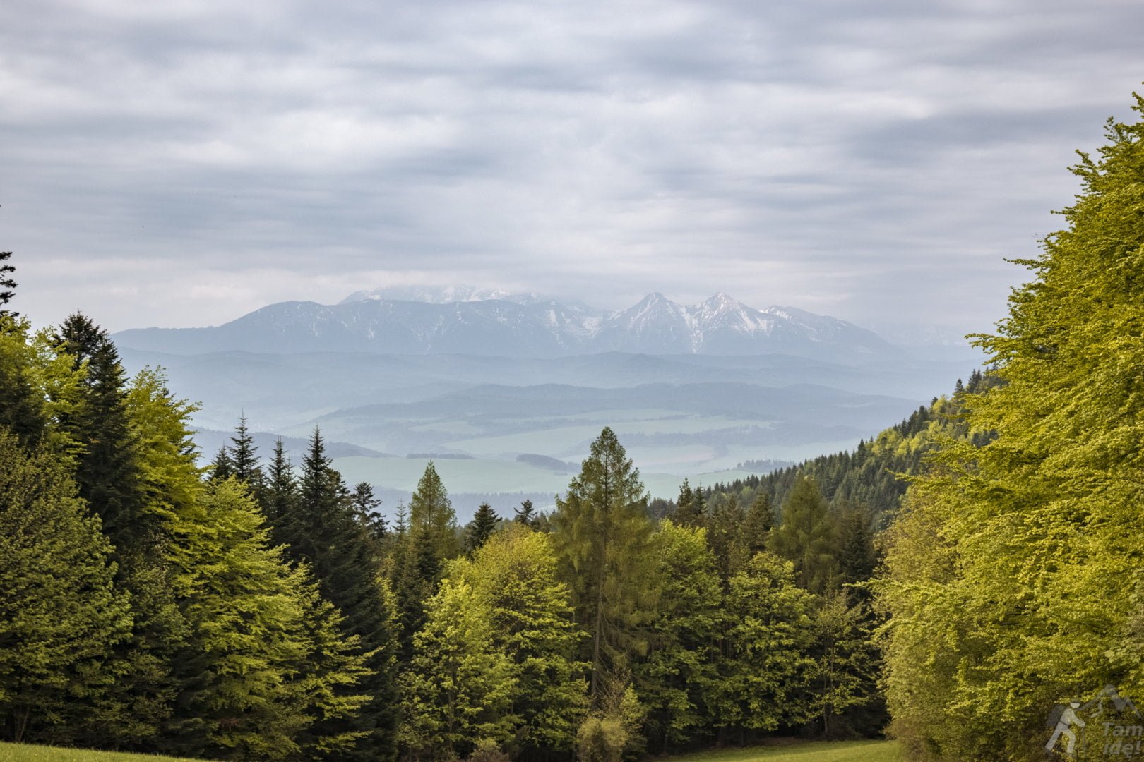 Przełęcz Szopka - Widok na Tatry