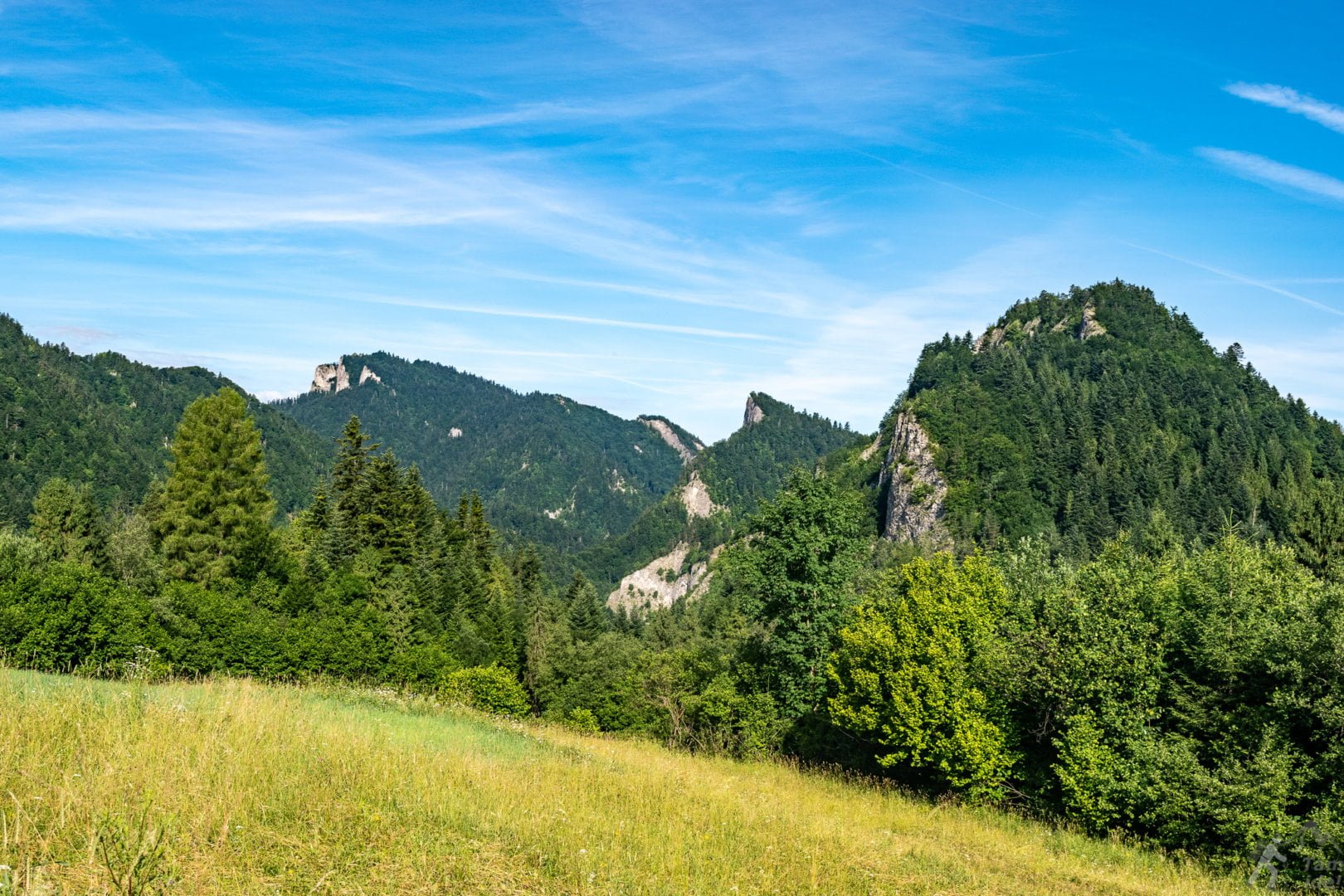 Szlak Żółty do Leśnicy