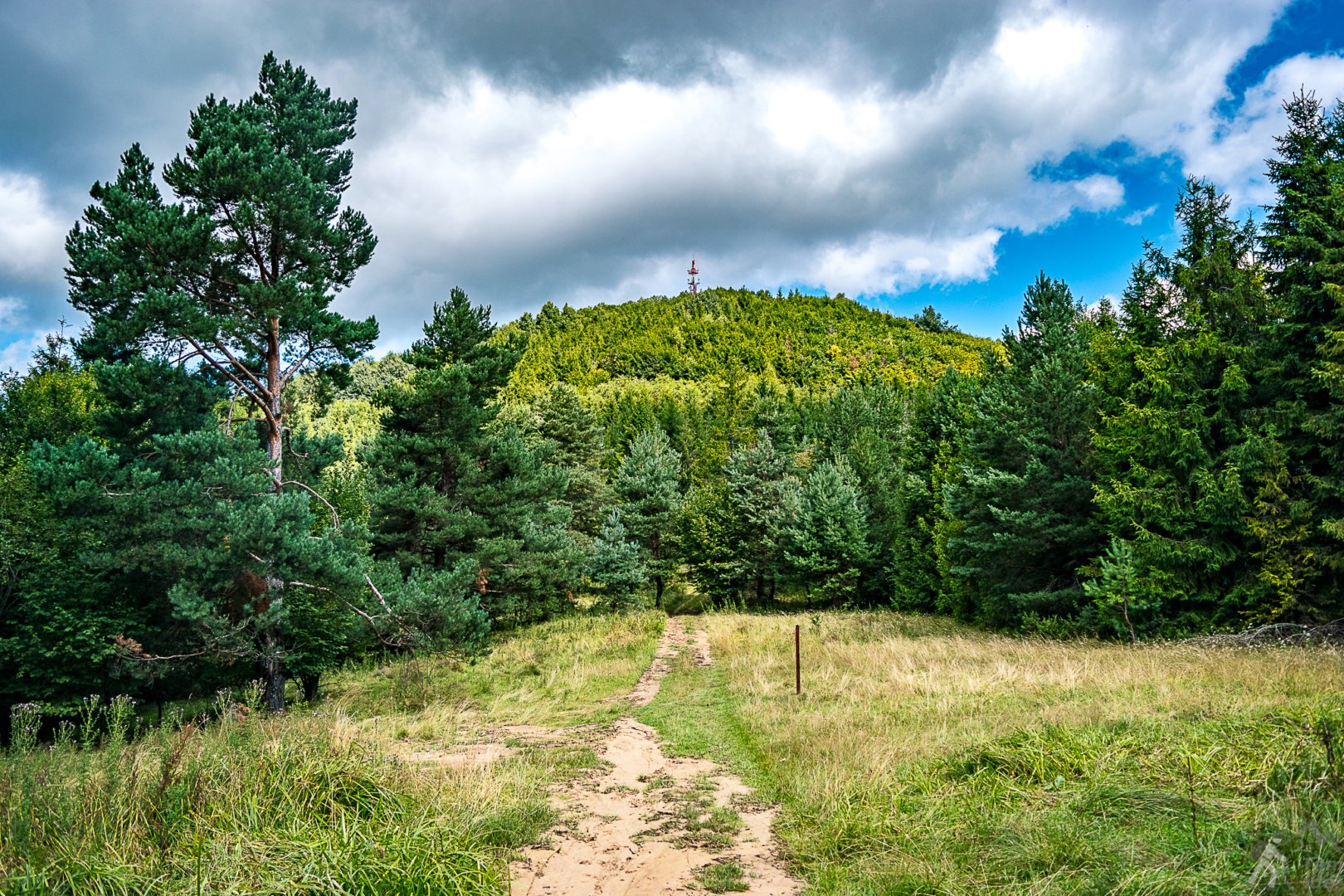 Jarmuta Szczawnica